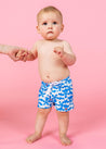 Baby Boy Swimsuit - Shorts - Flowerworks